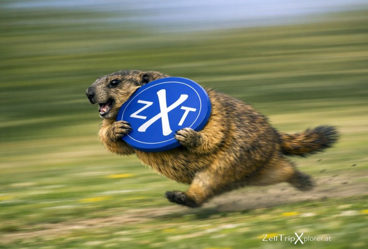 Ein Murmeltier läuft mit einem Schild vom ZellTripXplorer nach links und kündigt so etwas Neues an